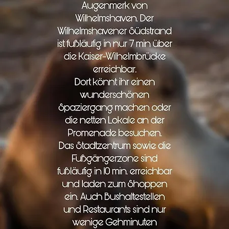 Ferienwohnung Seehund Apartment *