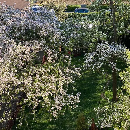 Ferienwohnung Seehund * 빌헬름스하펜