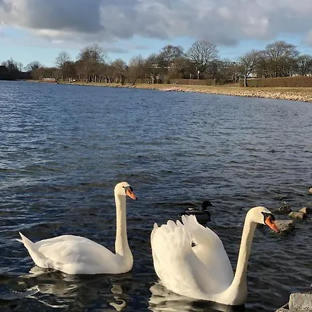 Ferienwohnung Seehund * 빌헬름스하펜